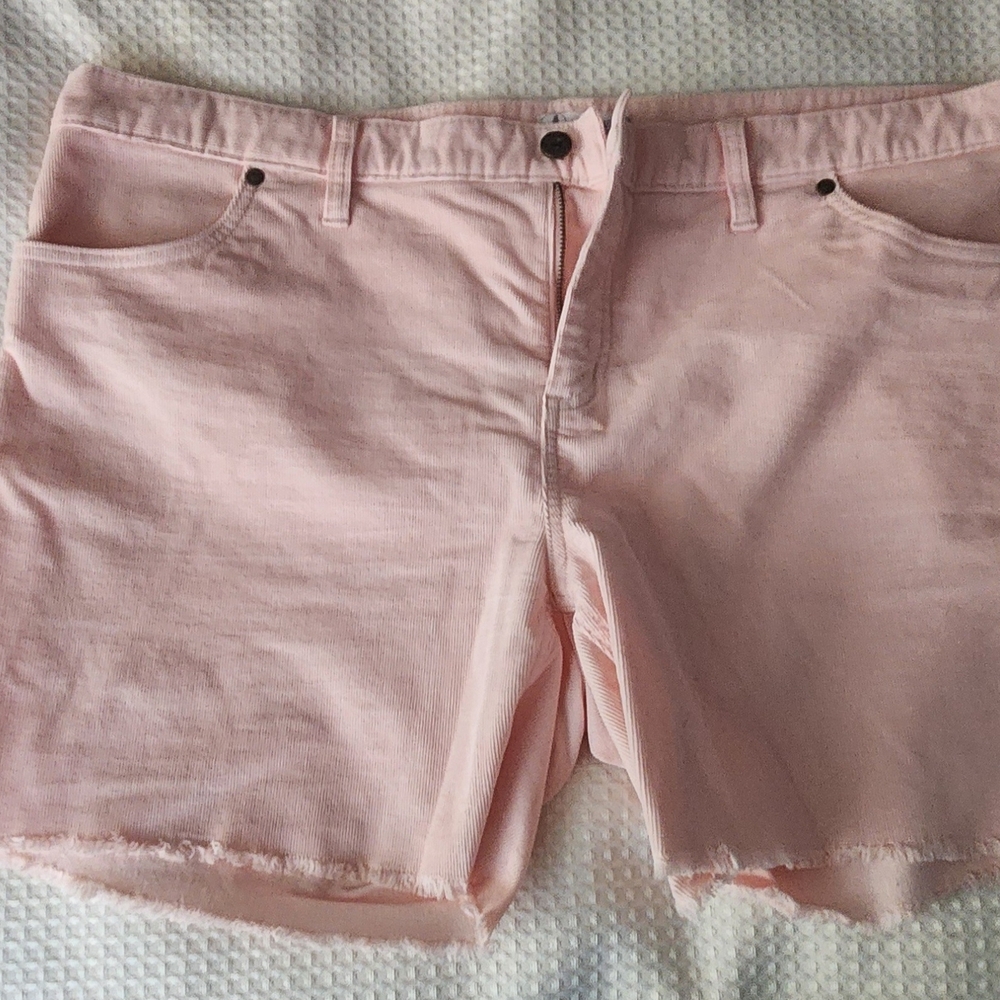 Carve Designs Light Pink Jean Shorts